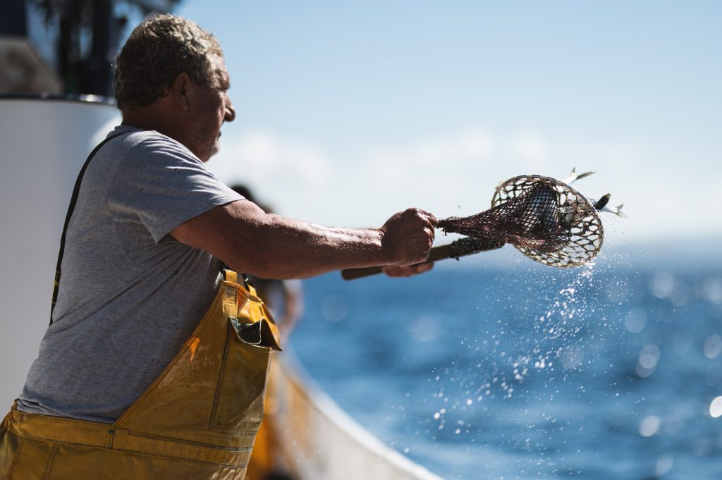 artes tradicionales de pesca de atun rojo