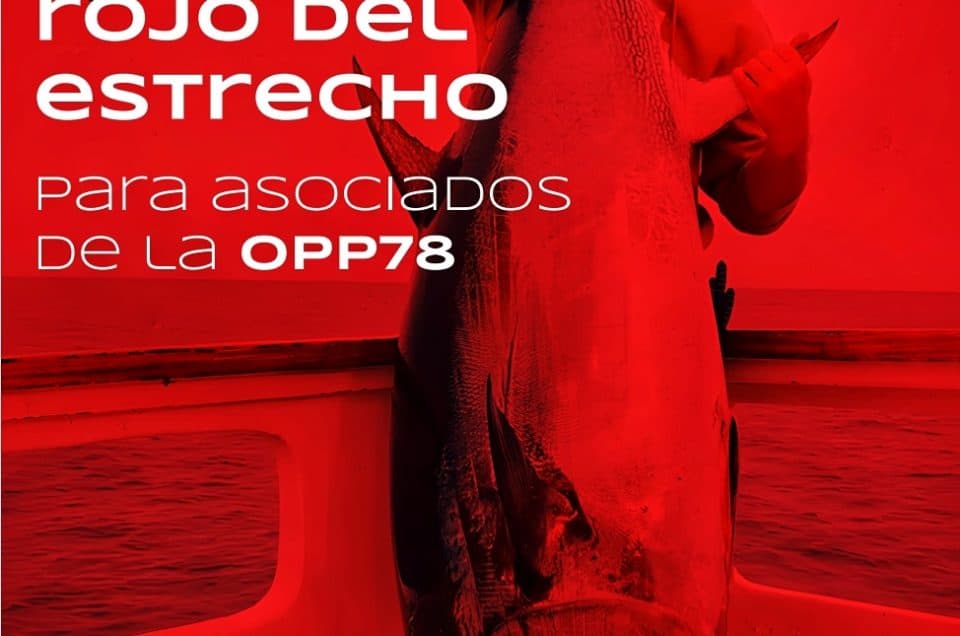 Concurso de Pesca del Atún Rojo del Estrecho (Tarifa)